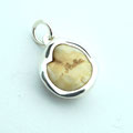 Schmuck aus Pferdezahn