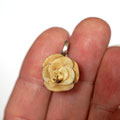Pferdezahn Schmuck