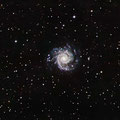 M74