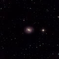 M58