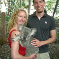Koala hugging at Lone Pine Koala Sanctuary