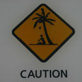 be careful... falling coconuts!