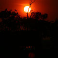 sunset at Cooiinda