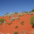 red sands... Great Simpson Desert