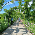 Wisley Garden ...