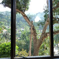 Blick vom Hotelzimmer in Kandy