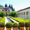 Wir ergattern doch noch Tickets für die Gärten der Alcazabar.