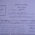 Reisebewilligung, ausgestellt in Wadi Halfa, für die Reise bis Khartoum
