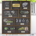 近広連技術開発委員会賞　三晃プラスチック工業（株）　（大阪）