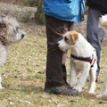 Bayerischer Spaziergang, 24. März 2013