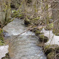 Regensburger Spaziergang, 11. März 2012