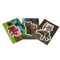 Minecraft Collectible Sticker-Cards