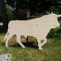 Stier Nr. 10
