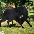 Schicker Stier schwarz gestrichen, Schnittkanten  hier hell , Größe ca.1,77m lang ca.1,15m hoch // Preis 250,00 Euro