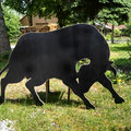 Stier Nr. 6 nach Kundenwunsch mit Schnittkanten in hell , Größe ca.1,83m lang ca.1,12m hoch // Preis 250,00 Euro