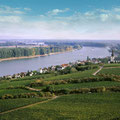 Rheinhessen