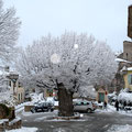Février 2010