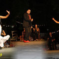 Festival Flamenco
