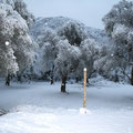 Février 2010