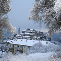 Février 2010