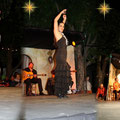 Festival Flamenco