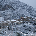 Février 2010