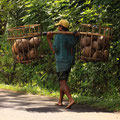 porteur de noix de coco à Bali.