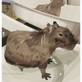 Capybara   /Jun.2023