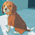 beagle   Nov.2019