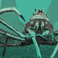Japanese spider crab , Miyajima aquarium / May.2024