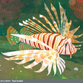 red rionfish   /Feb.2021