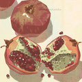 pomegranate   /Dec.2020