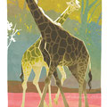 giraffe   /Jan.2021