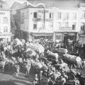 11 novembre - Bétail de guerre volé - Départ vers la rue de Namur