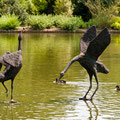 Cherchez les oiseaux !!! Jardin Anglais (2010-05)