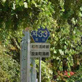 愛知県道433号　和市清崎線