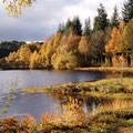 lac de vassivière