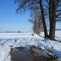 nach Abzweigung von der Strasse endet die Schneeräumung für den Veloweg, Februar 2012 in Deitingen