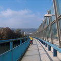 auf dem Seitesteg der Autobahnbrücke überqueren wir die Limmat