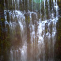 McCloud River Falls(Middle)