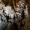 Decorations inside the cave. 