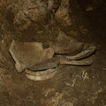 Parts of an amphora, possibly dated of the Late Geometric period which started around 760 B.C. 