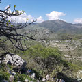 View to the road to Paleo Perithia. 