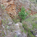 Cave in a quarry in Kassiopi. 