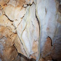 Decorations inside the cave. 