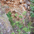 Cave in a quarry in Kassiopi. 