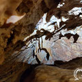 Stalactites hanging from the ceiling.                                                                          