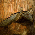 Decorations inside the cave. 