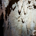 During a visit to the cave in April 2019 a few cave crickets were spotted. 