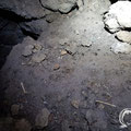 Few animal bones before descending into the lower located room on the left-hand side of the cave. 